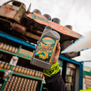 Nozem Oil 1 liter | 't Geet hier spoken 2026
